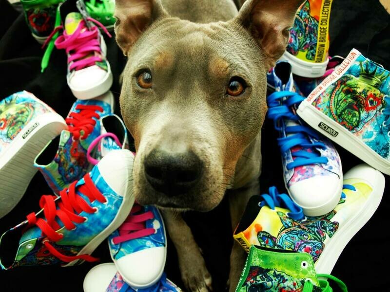 Schuhe