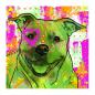 Preview: Angle: Bild von einem American Staffordhire Staff Amstaff  in Digitaler Popart, bunt mit dicken Outlines