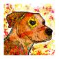 Preview: Bumsi: Bild von einem American Satffordshire Terrier Staff Amstaff Mix   in Digitaler Popart, bunt mit dicken Outlines