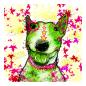 Preview: Bärbel: Bild von einem Bullterrier Mini Standard Bullterrier Bulli in Digitaler Popart, bunt mit dicken Outlines