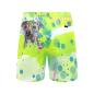 Preview: Badehose mit Hundemotiv Dio - Badehose, Shorts, Strand, bunt, Swimwear, Bademode, Staffordshire, AmStaff, Staff, Pitbull, Pit, SOKA, Listenhund