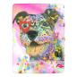 Preview: Decke Hexe -  Fleecedecke, kuschlig, weich, bunt, Motive in Digitaler Popart, 152cm x 203cm, bunt, Staff, Amstaff, Staffordshire, Soka, Listenhund, Bollerkopf, Mix