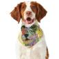 Preview: Hunde Bandana, Halstuch für Hunde, mit buntem Hundemotiv Hexe