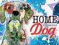 Preview: Metalschild "Home - Pünktchen"
