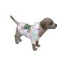 Preview: Hunde Hoodie, Pullover für Hunde, mit buntem Hundemotiv Motte2