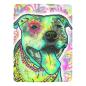 Preview: Decke Pablo-  Fleecedecke, kuschlig, weich, bunt, Motive in Digitaler Popart, 152cm x 203cm, bunt, Staff, Amstaff, Staffordshire, Soka, Listenhund, Bollerkopf, Mix