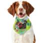 Preview: Hunde-Bandana Rex 2 - Popart Hundedesign, 100 % Polyester, 70x30 cm, verstellbar, waschbar