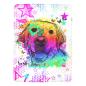 Preview: Decke Sunny -  Fleecedecke, kuschlig, weich, bunt, Motive in Digitaler Popart, 152cm x 203cm, bunt, Golden Retriever, Goldy