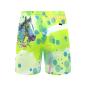 Preview: Badehose mit Tasci - Badehose, Shorts, Strand, bunt, Swimwear, Bademode, Pferd, Rennpferd
