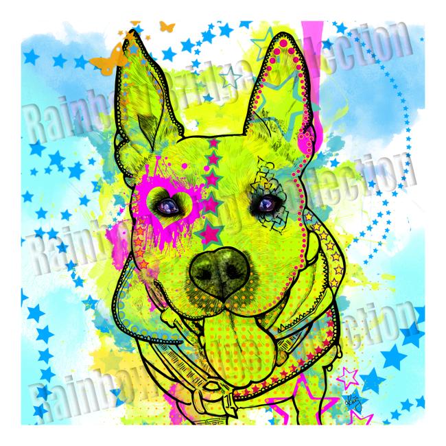 Bild "Amy 3"