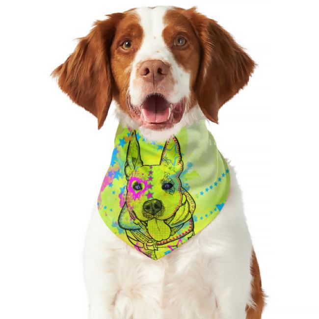 Hunde Bandana "Amy 3“