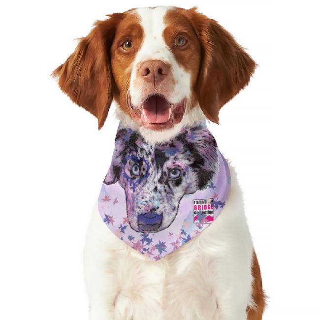 Hunde Bandana "Aussie"