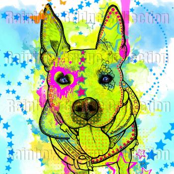 Bild "Amy 3"