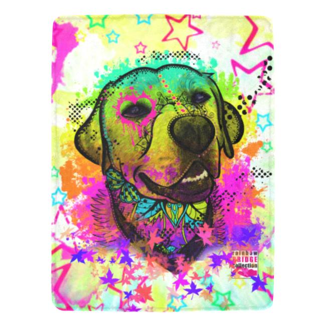 Decke Leo -  Fleecedecke, kuschlig, weich, bunt, Motive in Digitaler Popart, 152cm x 203cm, bunt, Mix, Labrador, Labbi, Mix