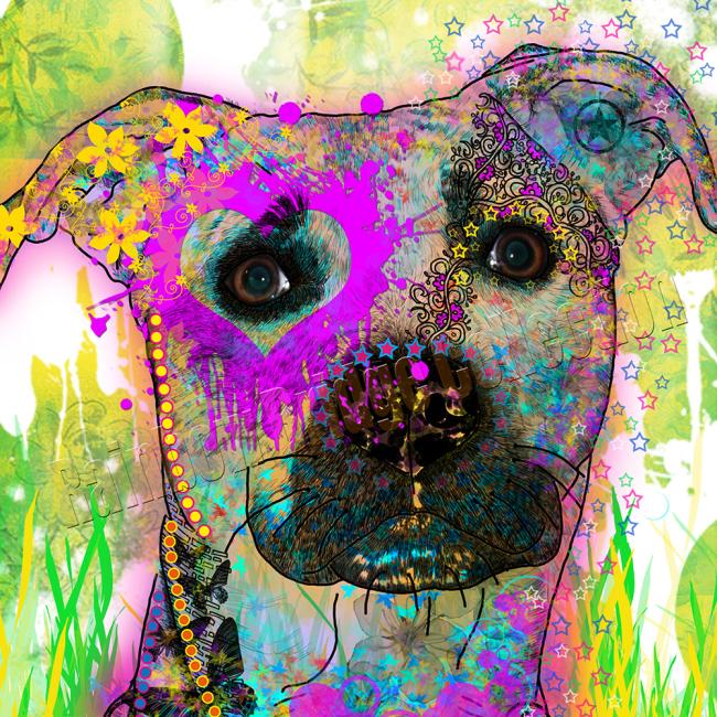 Bild "Mojito“