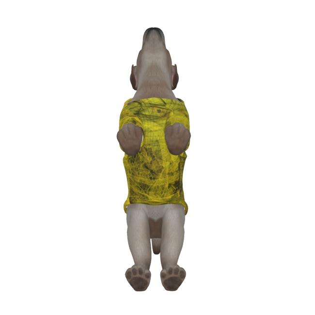 Hunde Hoodie, Pullover für Hunde, mit buntem Hundemotiv Motte1