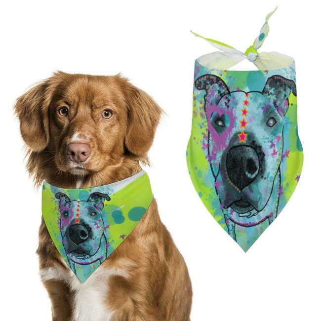 Hunde Bandana "Sancho"