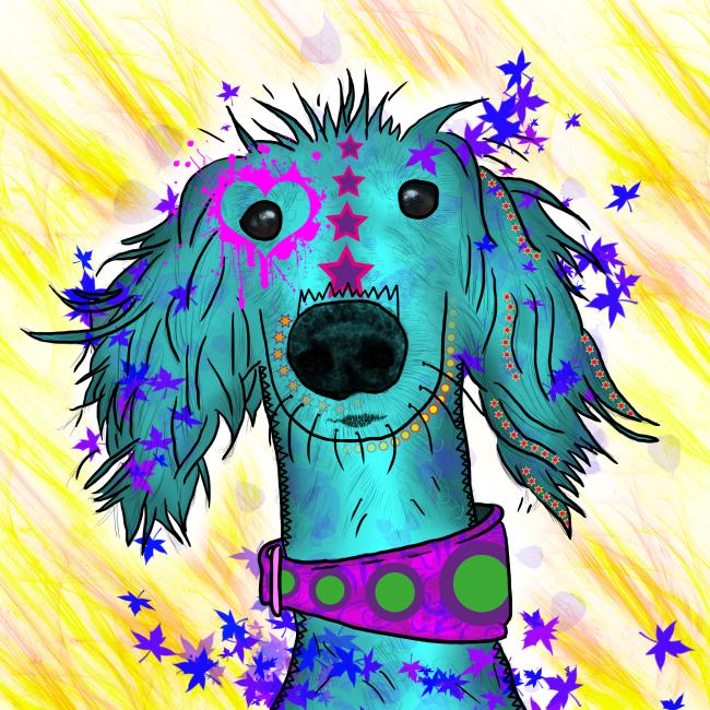 Bild "Toosie“