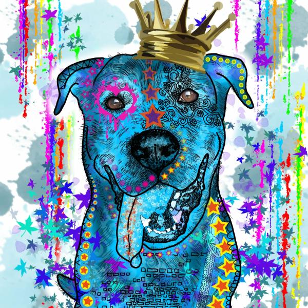 Alec: Bild von einem Schäferhund Mischling in Digitaler Popart, bunt mit dicken Outlines
