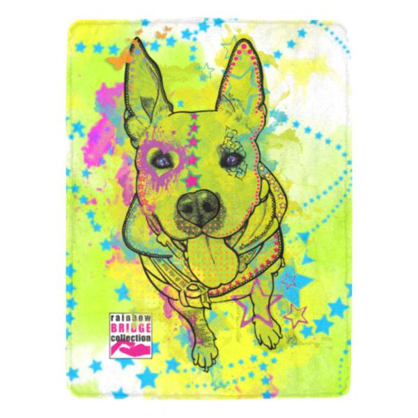 Decke Amy 3 -  Fleecedecke, kuschlig, weich, bunt, Motive in Digitaler Popart, 152cm x 203cm, bunt, Staff, Amstaff, Staffordshire, Soka, Listenhund, Bollerkopf, Mix