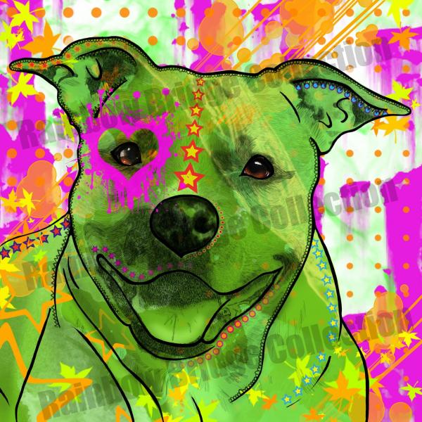 Angle: Bild von einem American Staffordhire Staff Amstaff  in Digitaler Popart, bunt mit dicken Outlines