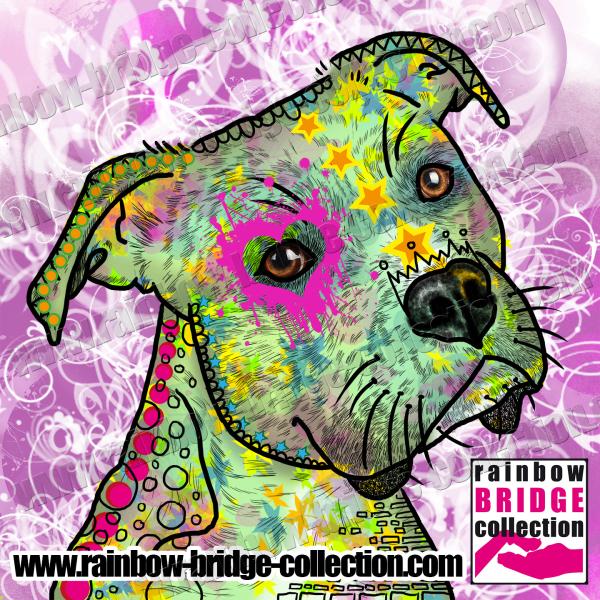 Hundemotiv Calli - Bild auf Leinwand, Kunstdruck, Popart, Bunt, SOKA, Listenhund, Mix, Pink, Grün, Lila, 40cm, 60cm, 100cm