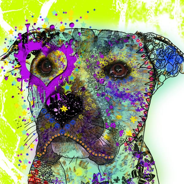 Hundemotiv Boogie - Bild auf Leinwand, Kunstdruck, Popart, Bunt, Amstaff, Staff, Stafordshire, Mix, Grün, Lila, 40cm, 60cm, 100cm