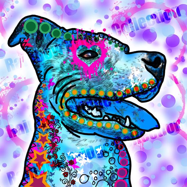 Bild von einem Hund namens JayJay in Blau und Hintergund PINK/LILA