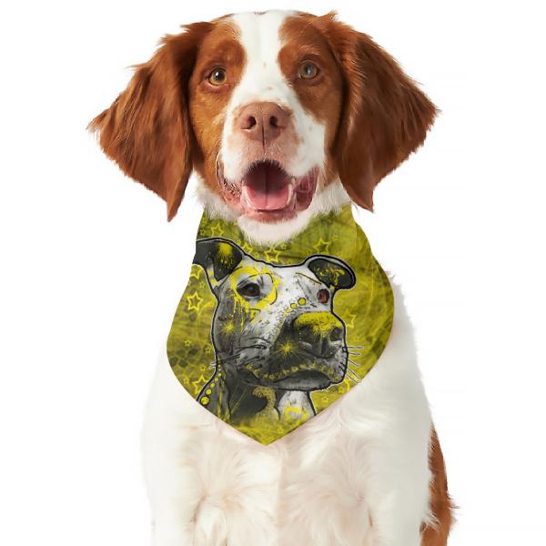Hunde Bandana, Halstuch für Hunde, mit buntem Hundemotiv Motte1