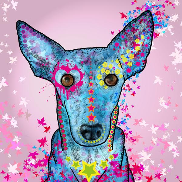 Bild von Podenco Hündin Princessa im Popartstil in Blau und Rosa